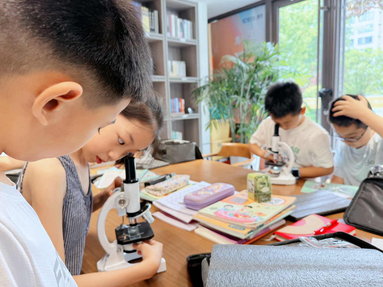 微信图片_2026-07-19_184114_363.png